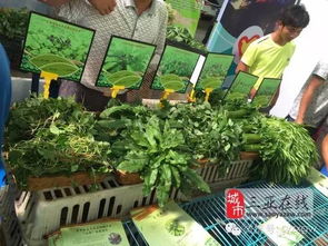 三亞市扶貧農(nóng)產(chǎn)品展銷會(huì) 農(nóng)副產(chǎn)品引圍觀，創(chuàng)意無限人潮涌動(dòng)