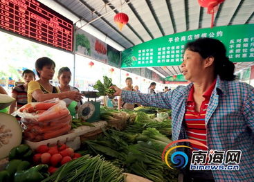 海南將建立東西部蔬菜交易市場(chǎng)，減免市場(chǎng)攤位費(fèi)助力農(nóng)副產(chǎn)品流通