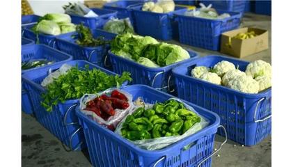 農(nóng)副產(chǎn)品配送 連接田間與餐桌的現(xiàn)代橋梁